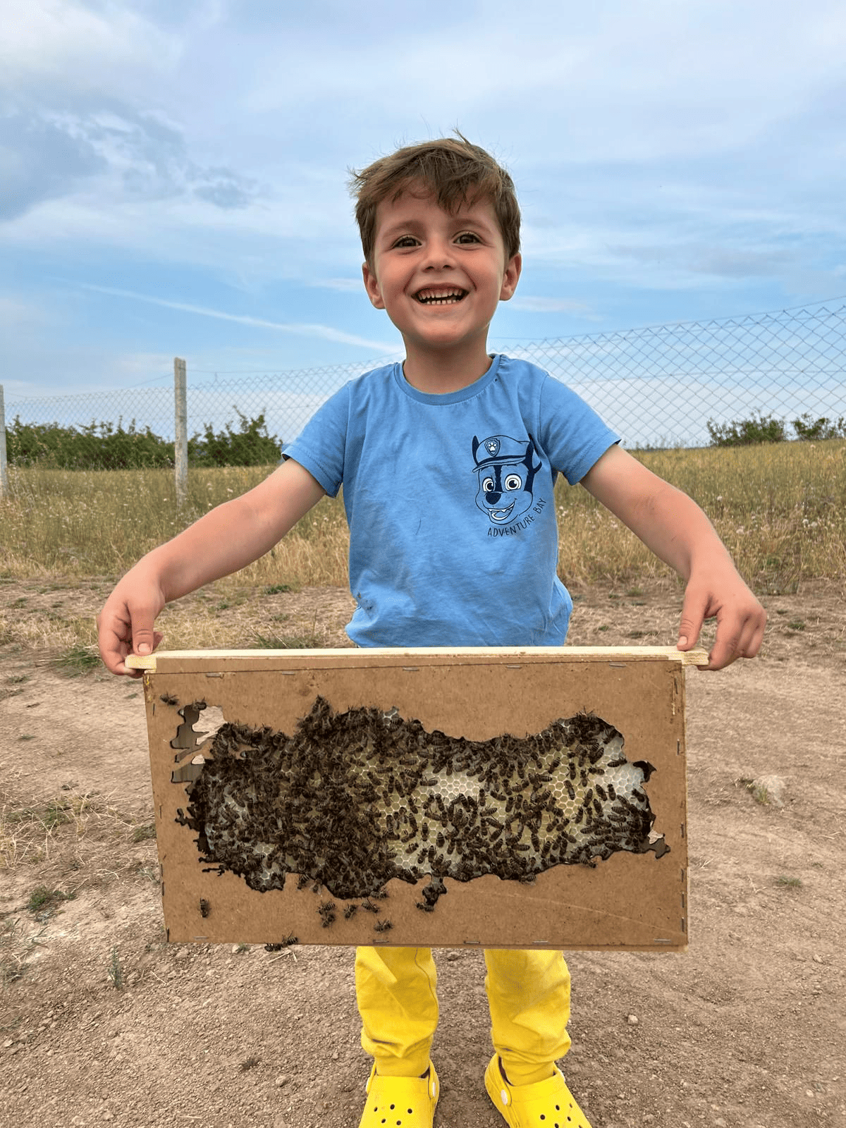 Arıların Gizli Dili: Çocuklara Doğanın Kahramanlarını Tanıtın