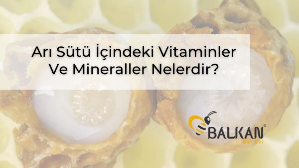Arı Sütü İçindeki Vitaminler Ve Mineraller Nelerdir?