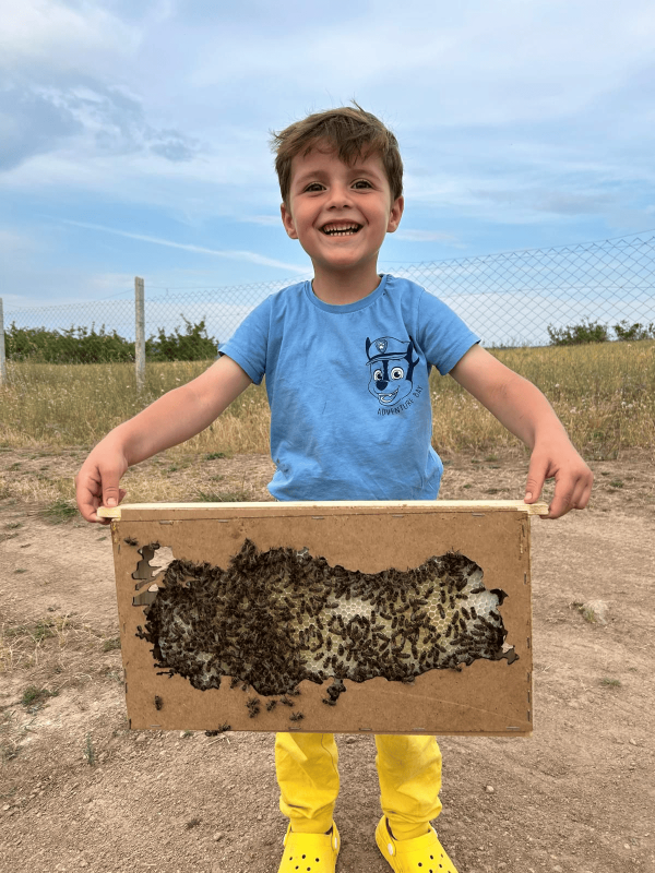 Arıların Gizli Dili: Çocuklara Doğanın Kahramanlarını Tanıtın
