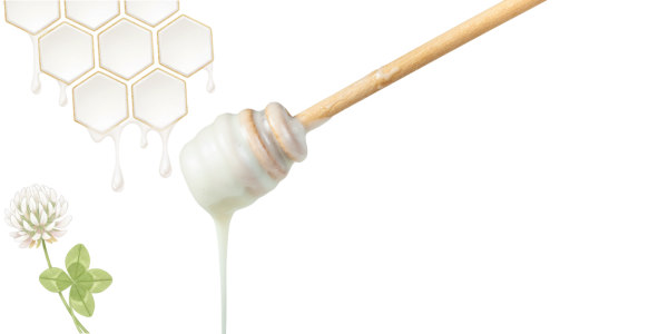 Beyaz Bal Nedir? Nasıl Üretilir? Özellikleri | Balkan Bal Evi
