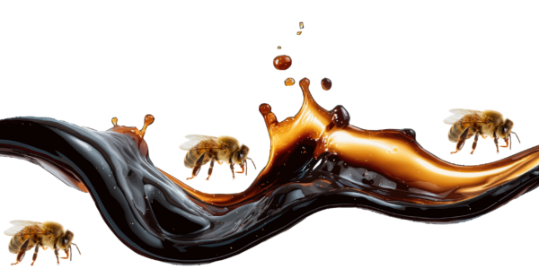 Siyah Bal'ın Faydaları ve Antioksidan Zenginliği ve Doğal Yapısı | Balkan Bal Evi