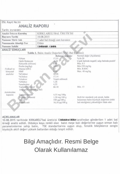 2015 Analiz Raporu